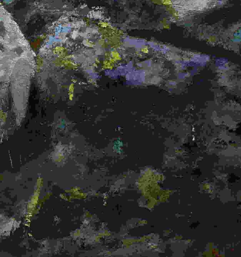 Cortinas de Sayago (detalle) oleo sobre lienzo