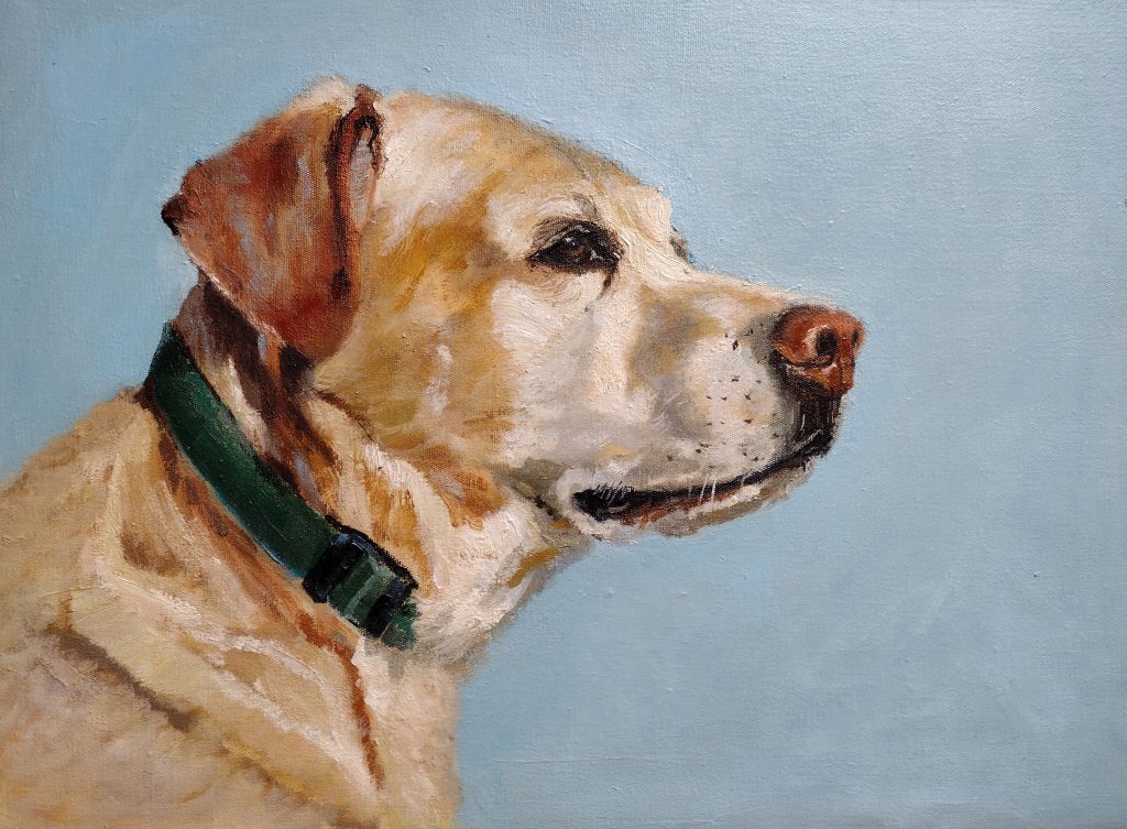 Casper, oleo sobre lienzo, 30 x 40 cm, Labrador
